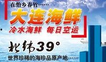 大连餐饮最新爆料,独家爆料揭示热门新店与美食潮流